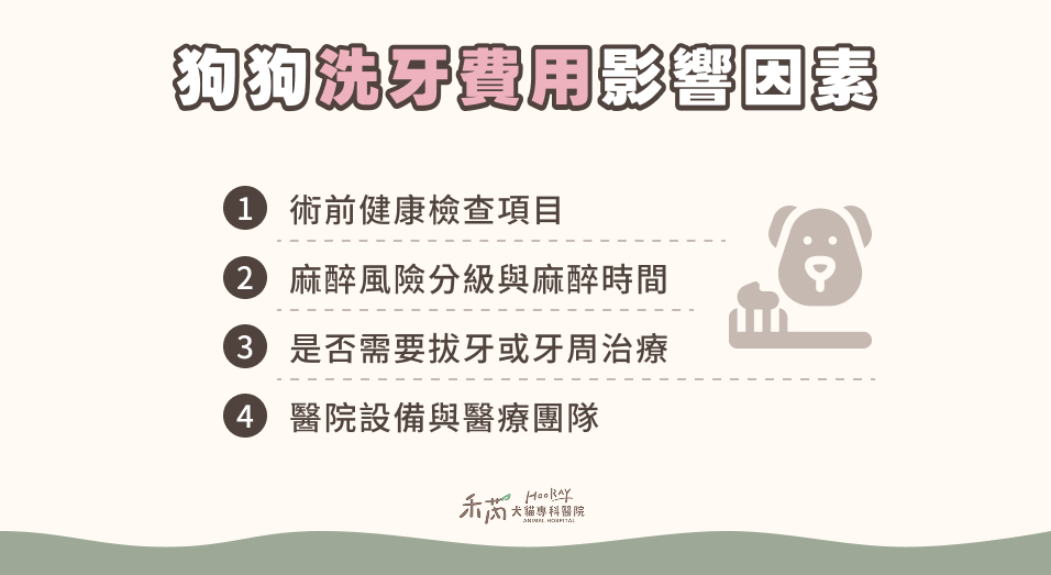狗狗洗牙費用與影響因素