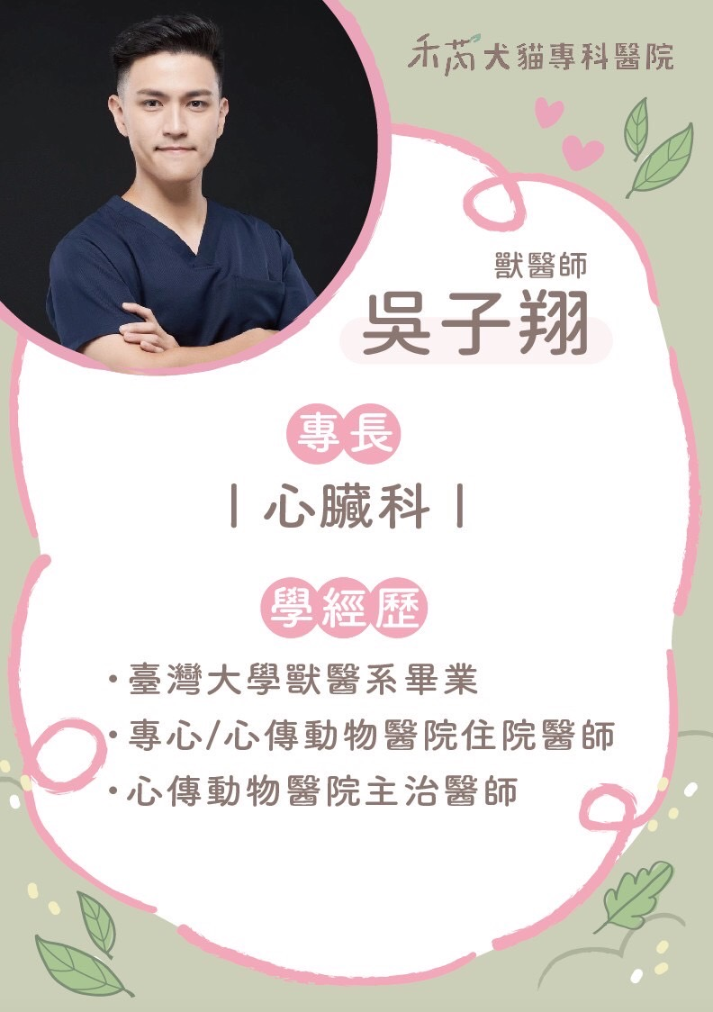 禾芮犬貓專科醫院 吳子翔 獸醫師