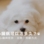 狗狗心臟病可以活多久？帶你了解症狀、心臟功能對狗狗麻醉的影響