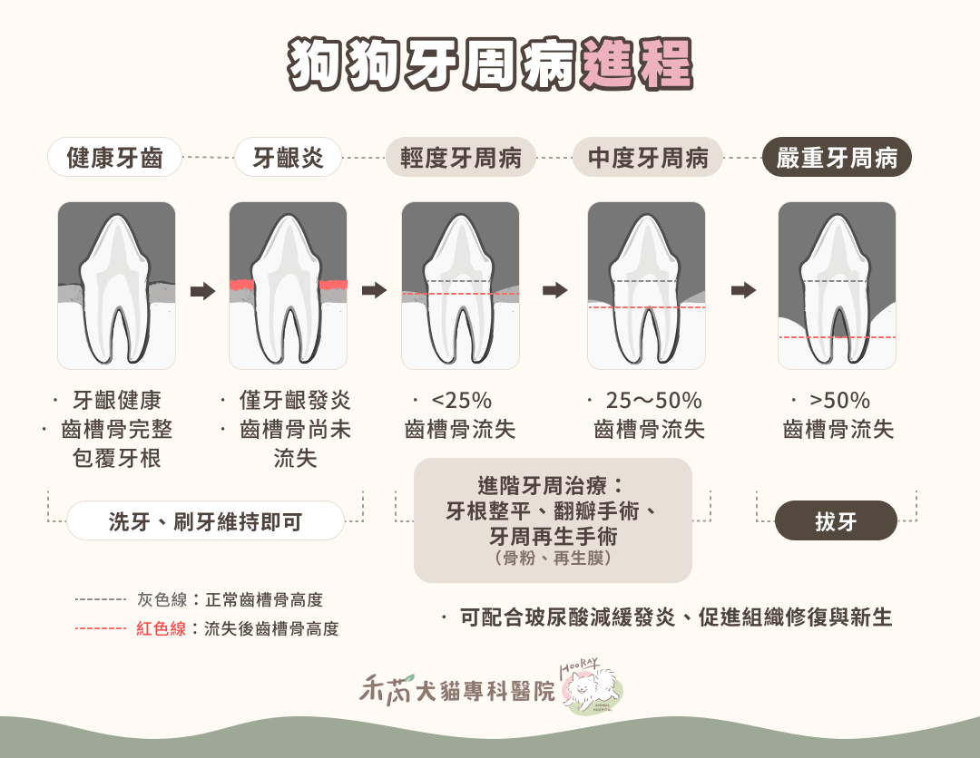 狗狗牙周病進程