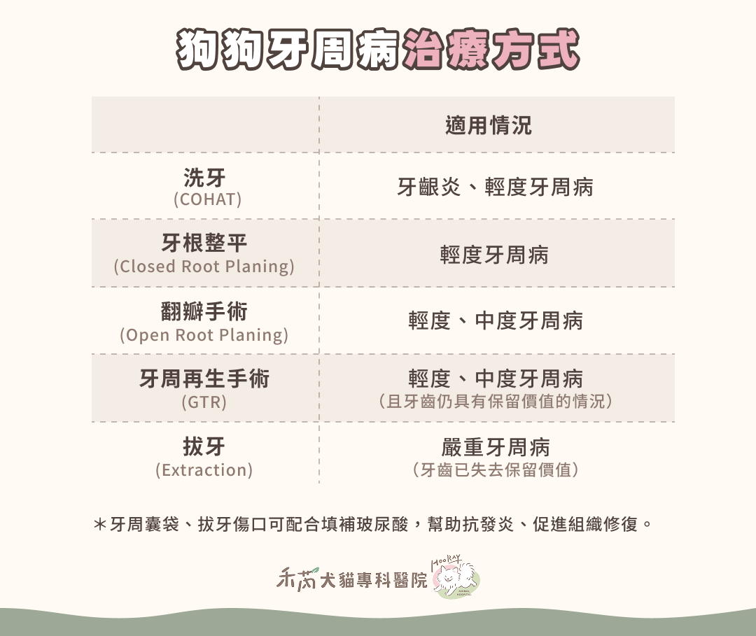 狗狗牙周病治療方式