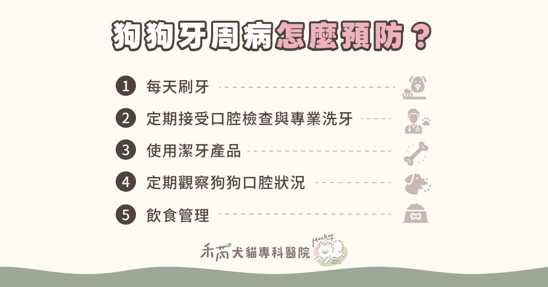 狗狗牙周病怎麼預防