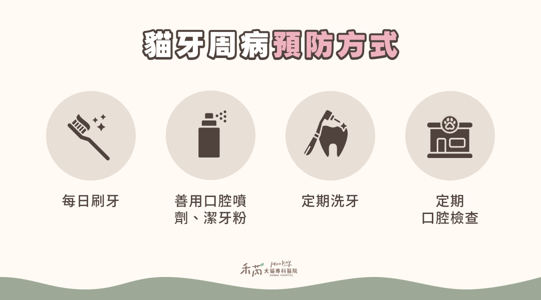 貓牙周病預防