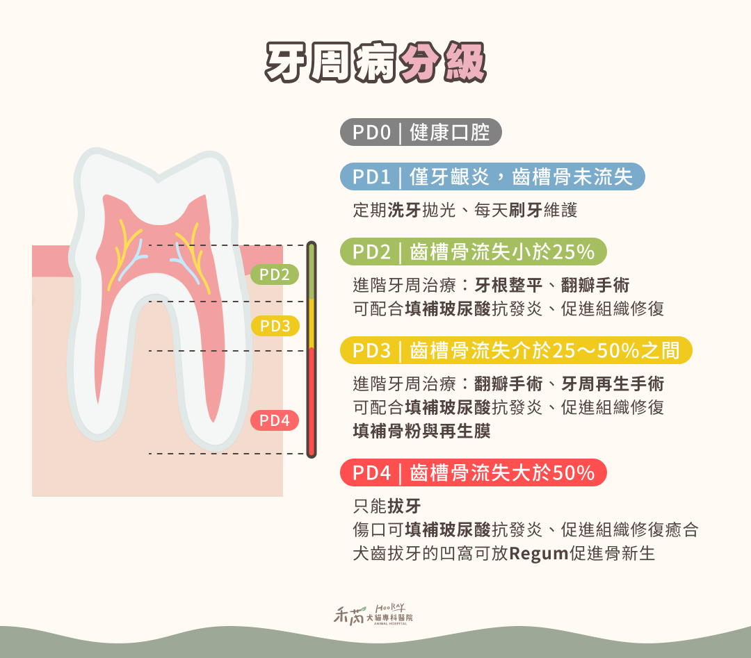 牙周病分級