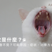 齒吸收是什麼？為何牙齒會不見？可能原因、症狀、治療方式總整理