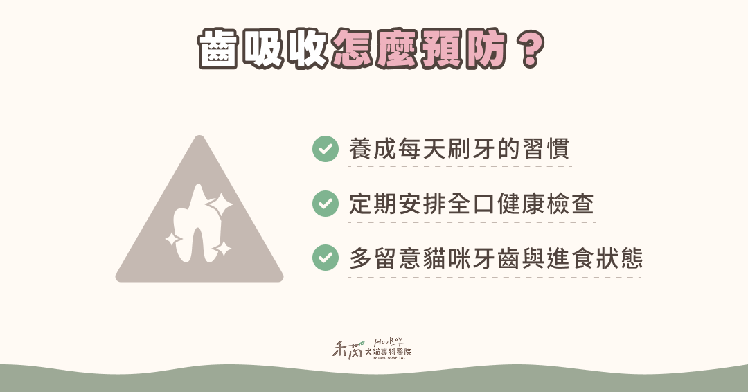 齒吸收怎麼預防?